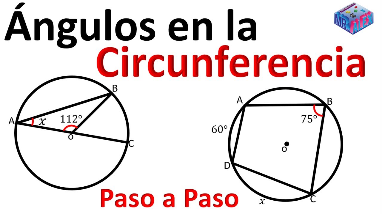 Ángulos en la circunferencia ejercicio 1 paso a paso