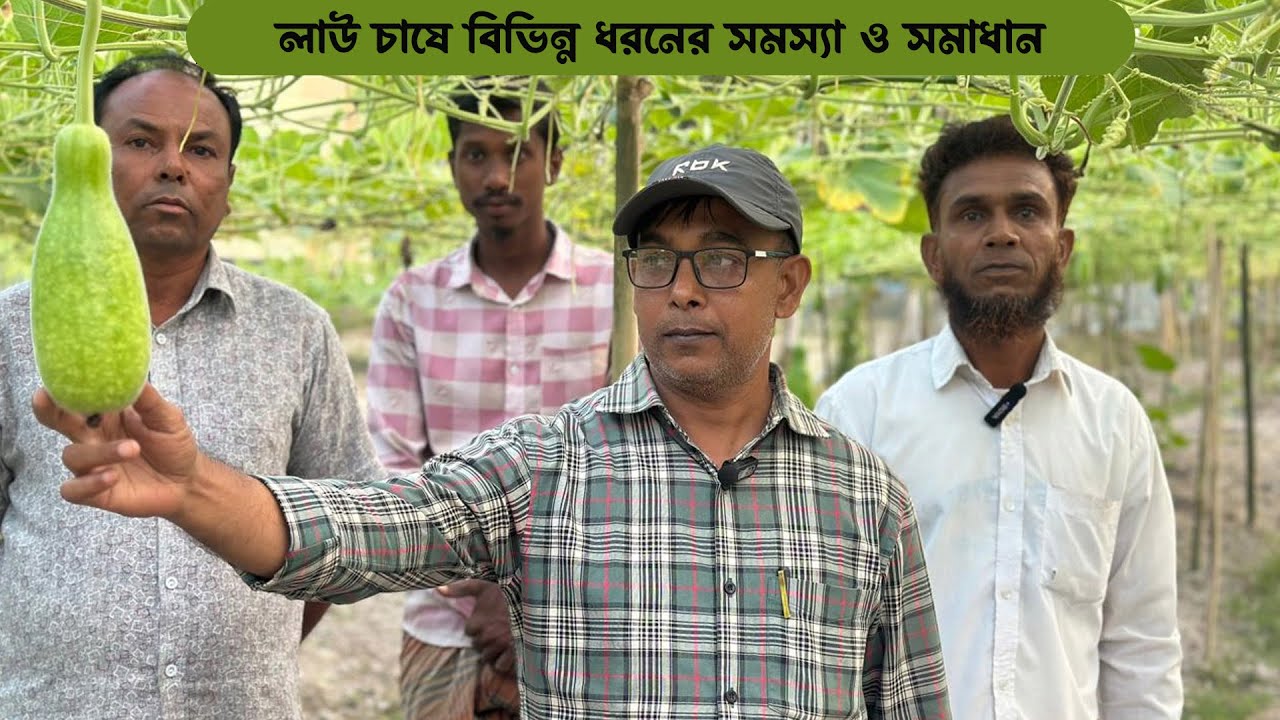 লাউ গাছে বিভিন্ন ধরনের সমস্যা এবং বিভিন্ন সারের অভাবে লক্ষণ ও করণীয় #MdJahangirAlamSelim