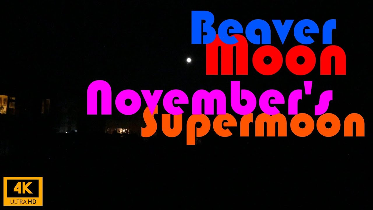 Beaver Moon November's Supermoon | 4K