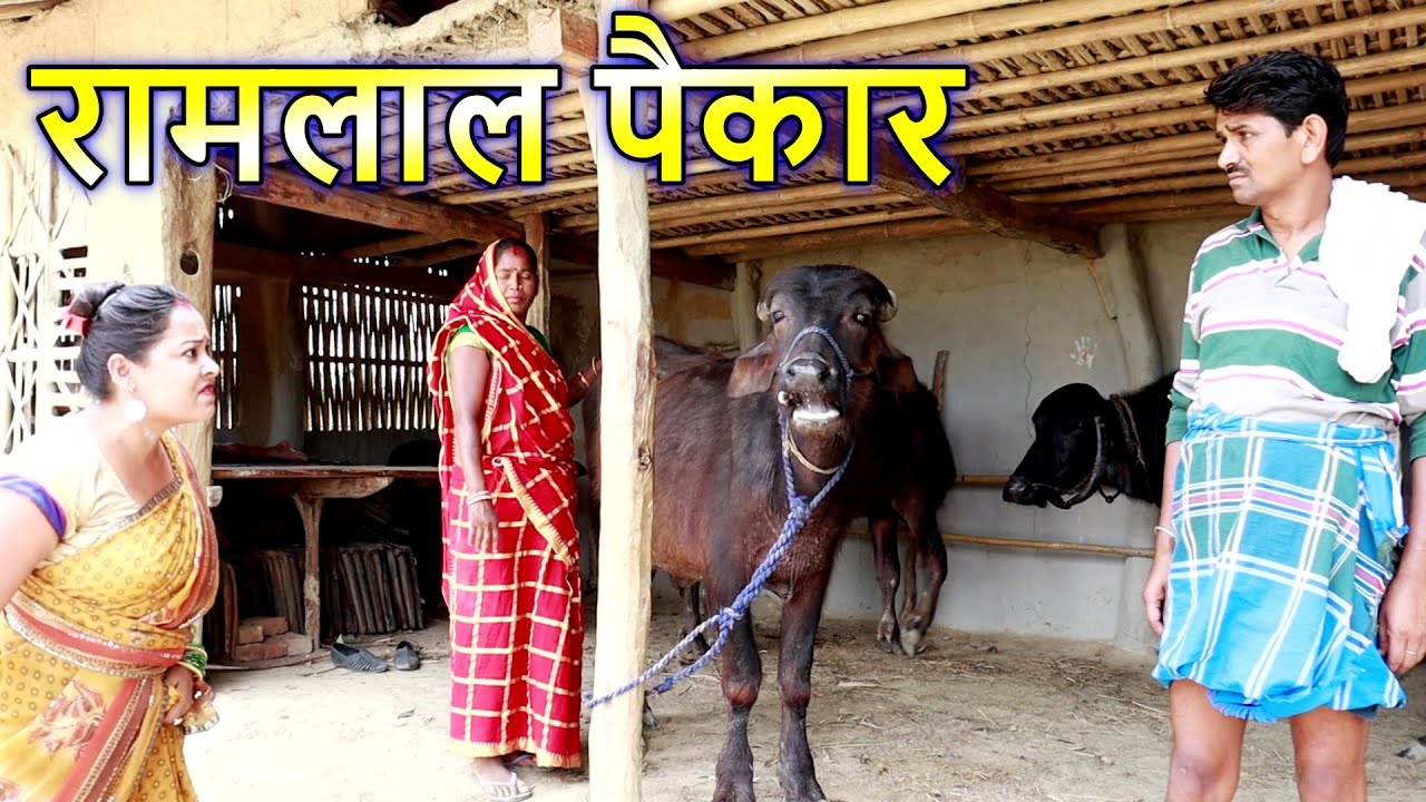 बकरी पैकार रामलाल Ramlal Comedy #maithilicomedy #ramlalcomedy #maithilicomedynew
