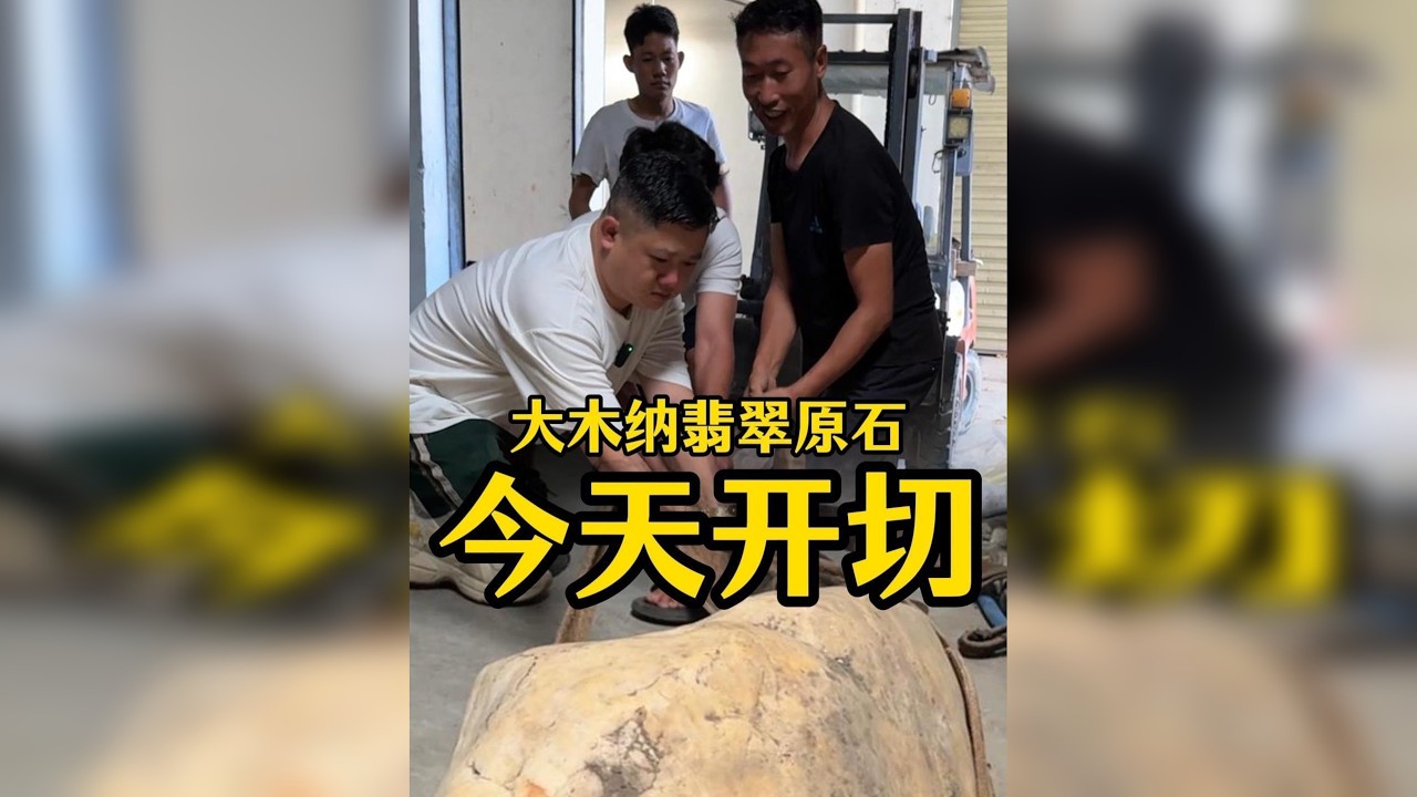 200公斤的大木纳翡翠原石，今天开切！