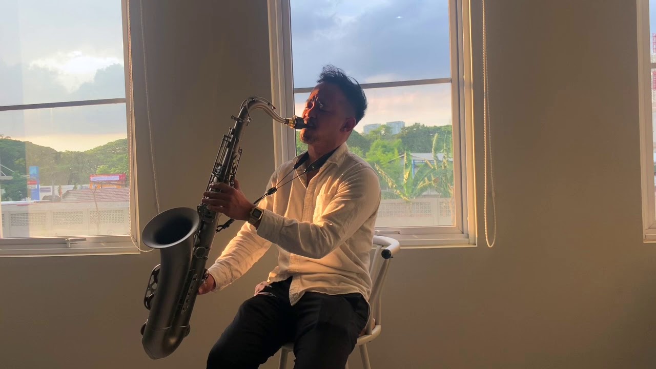 How Do I Live - Leann Rimes (saxophone cover) by Christian Ama