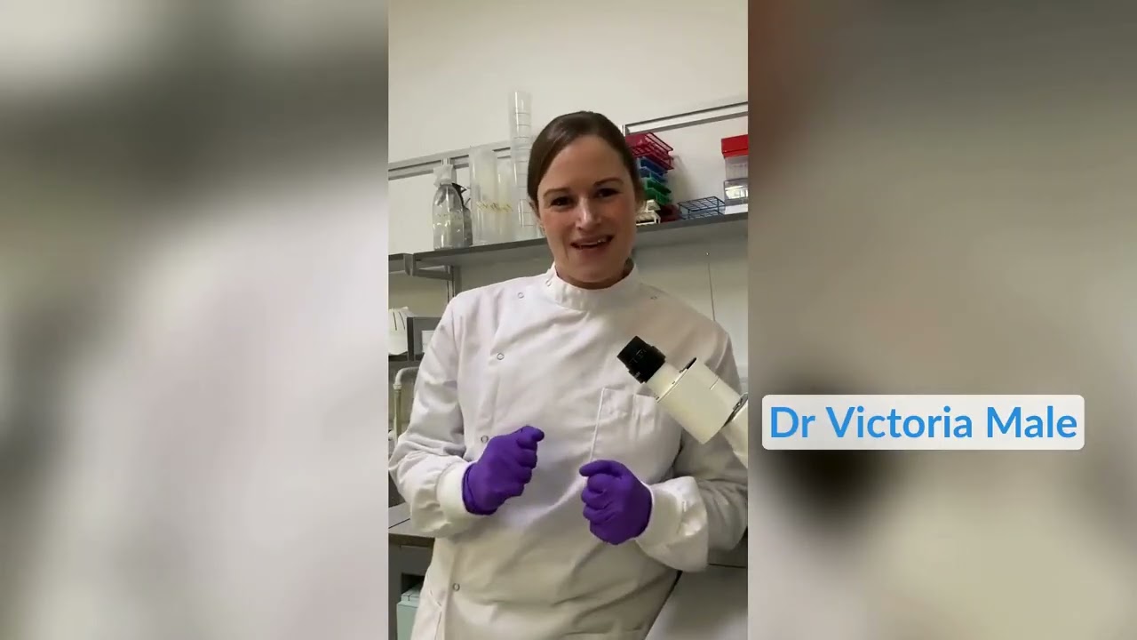 Action Medical Research end of year thank you video 2024