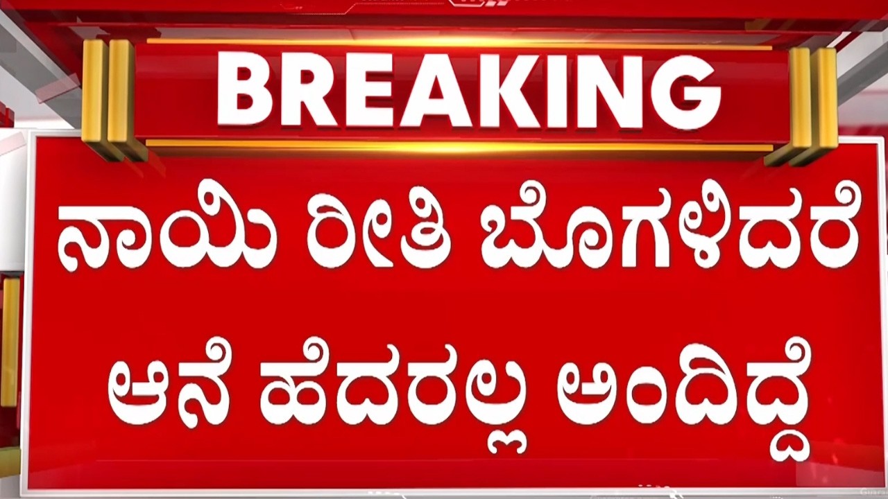 🔴LIVE | ಮೋದಿ ಆನೆಯಂತೆ.. ಆನೆ ಬಂದ್ರೆ ನಾಯಿಗಳು ಬೊಗಳ್ತವೆ | Guarantee News