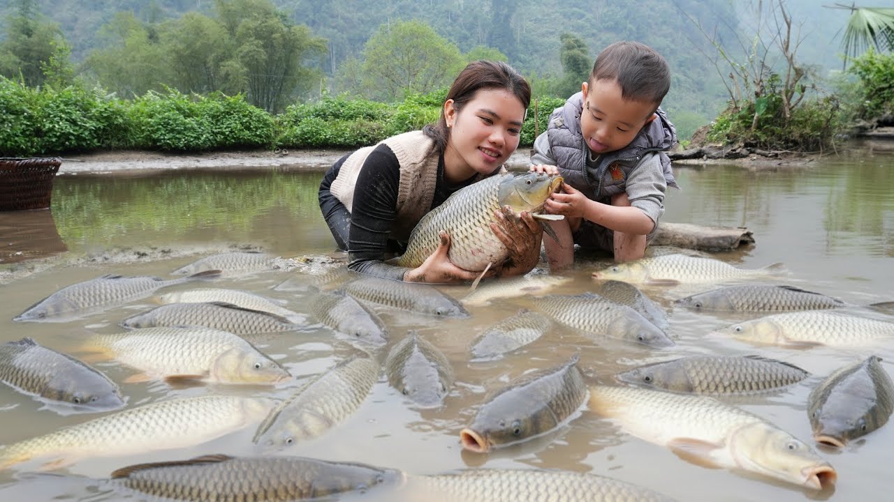 Harvesting Giant Fish From the Wild and Selling Them at the Market - A Recipe a Delicious Fish Stew.