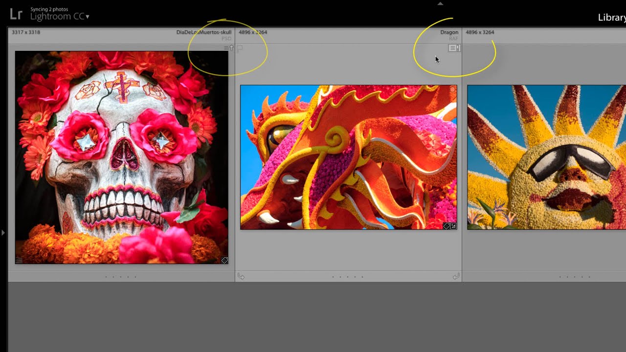 How to deal with Lightroom Metadata Conflict Warnings