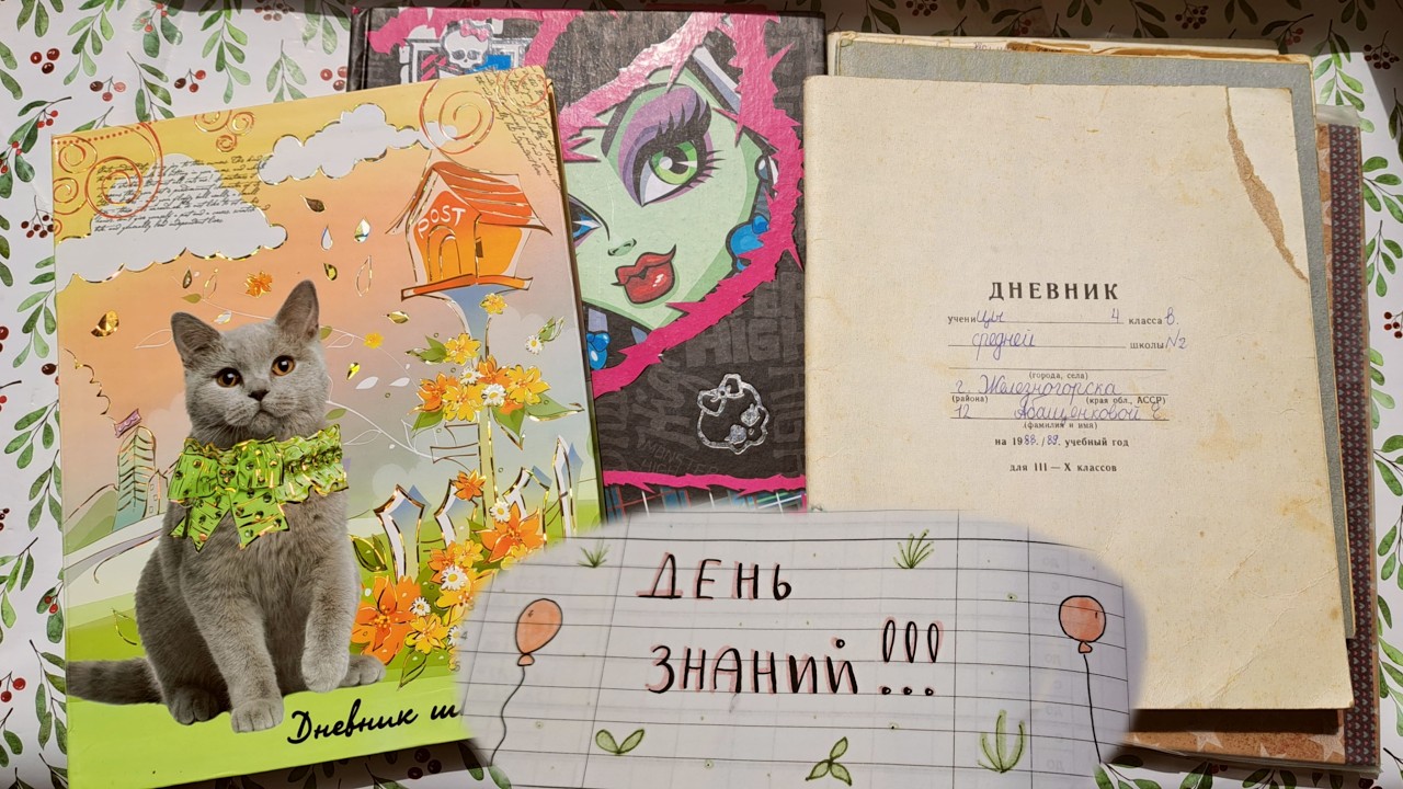 мои старые  📚 ШКОЛЬНЫЕ ДНЕВНИКИ  📚 + какие-то конспекты :]