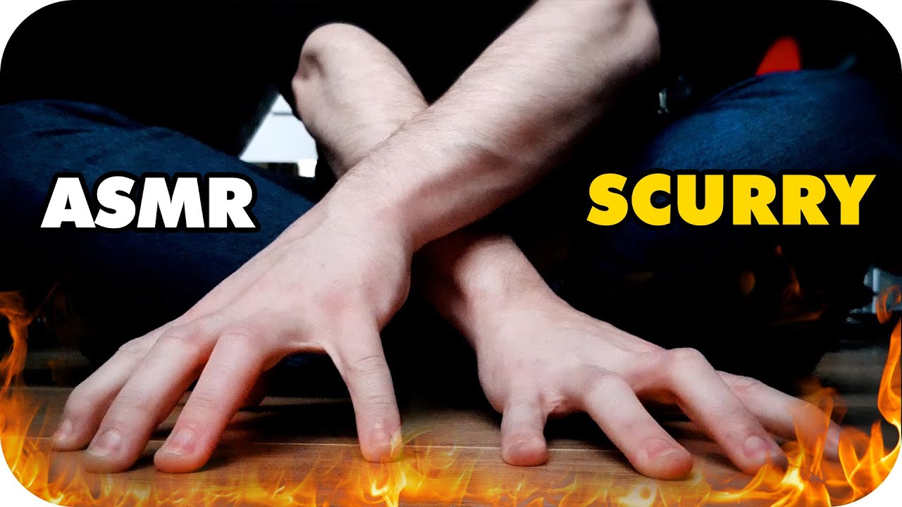 ASMR LoFi Fast Aggressive Scurry