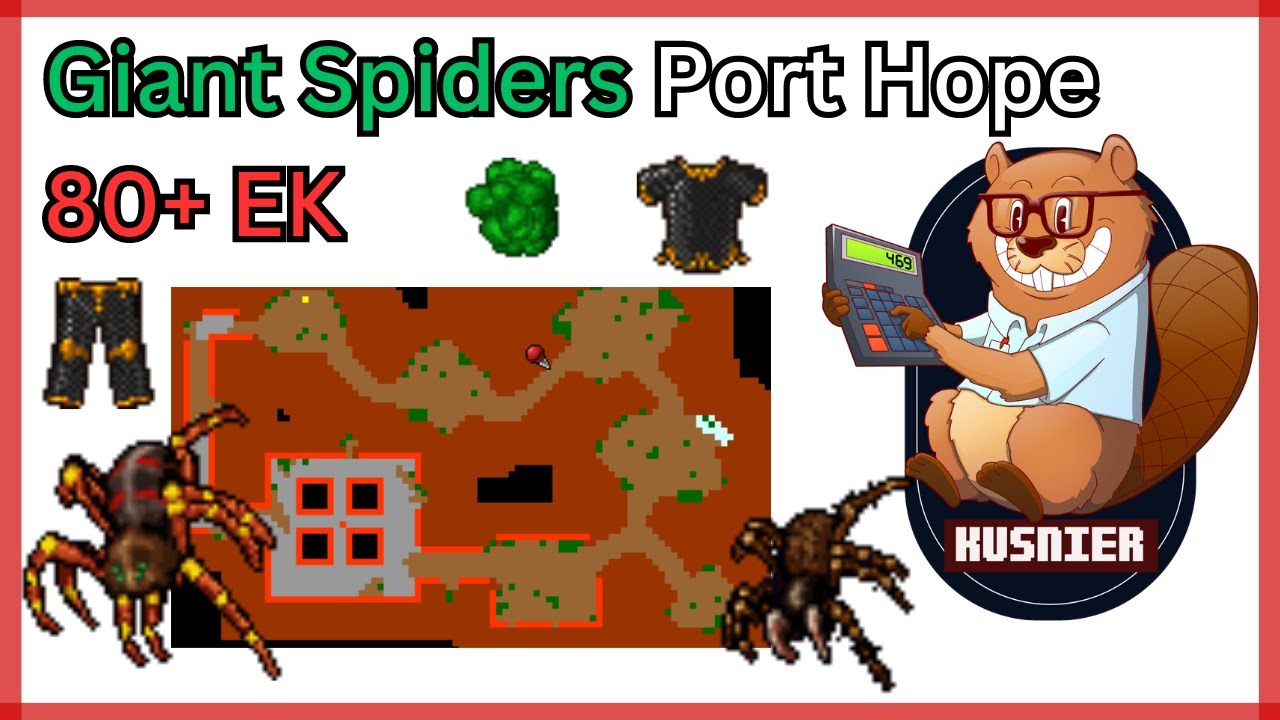Giant Spiders Port Hope | 80+ Knight | 500 k/h raw | Tibia