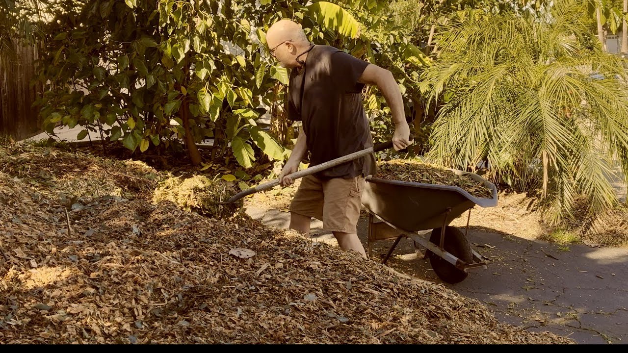 Stop Waiting. Start Mulching. A Gardener’s Wake‑Up Call