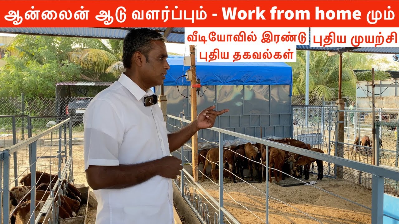 Future goat 🐐 farming 2024- work from home 🏡