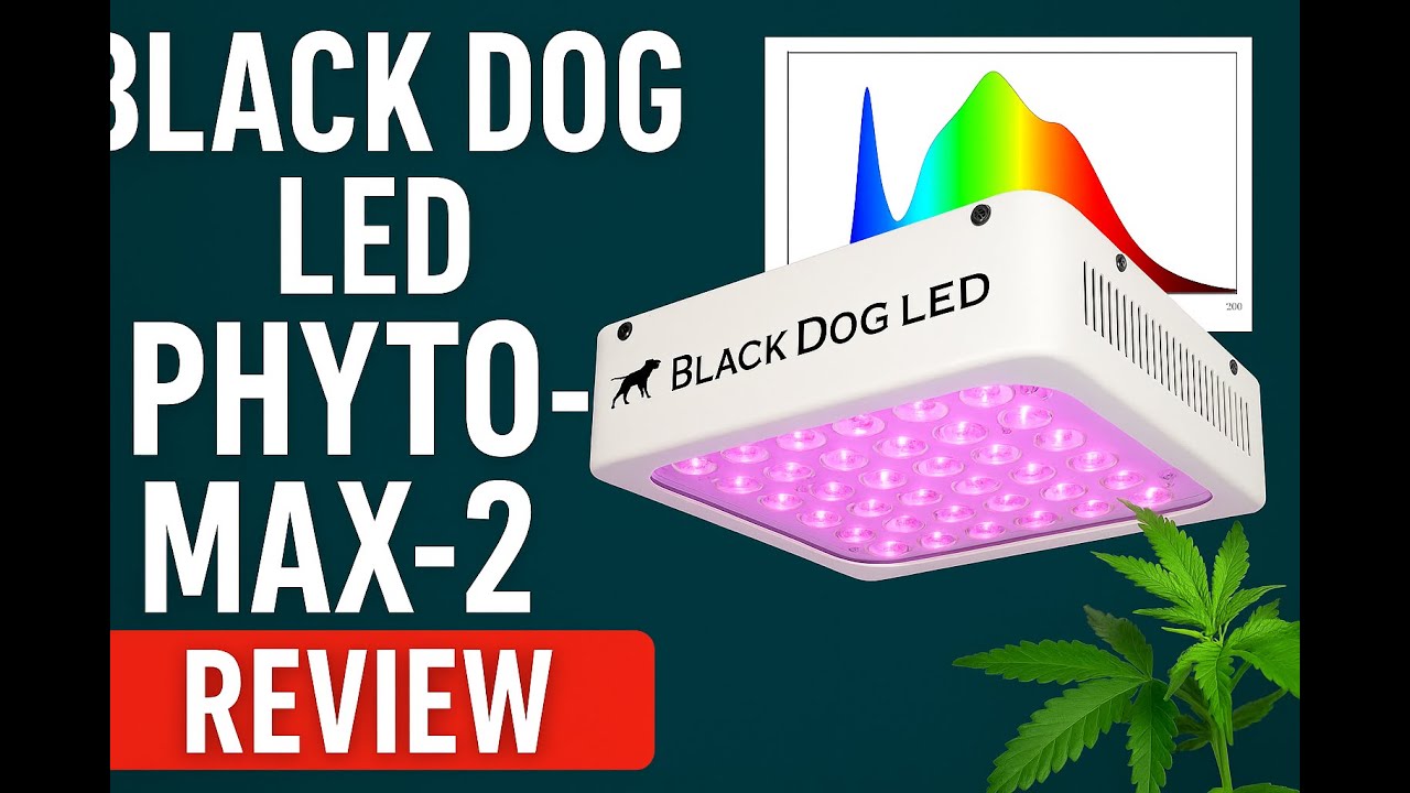 Black Dog LED PhytoMAX-2 Grow Light Review