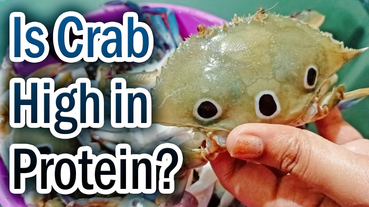Is Crab High in Protein? Does Crab Have Protein? How Much Protein in Crab? Protein Content in Crab