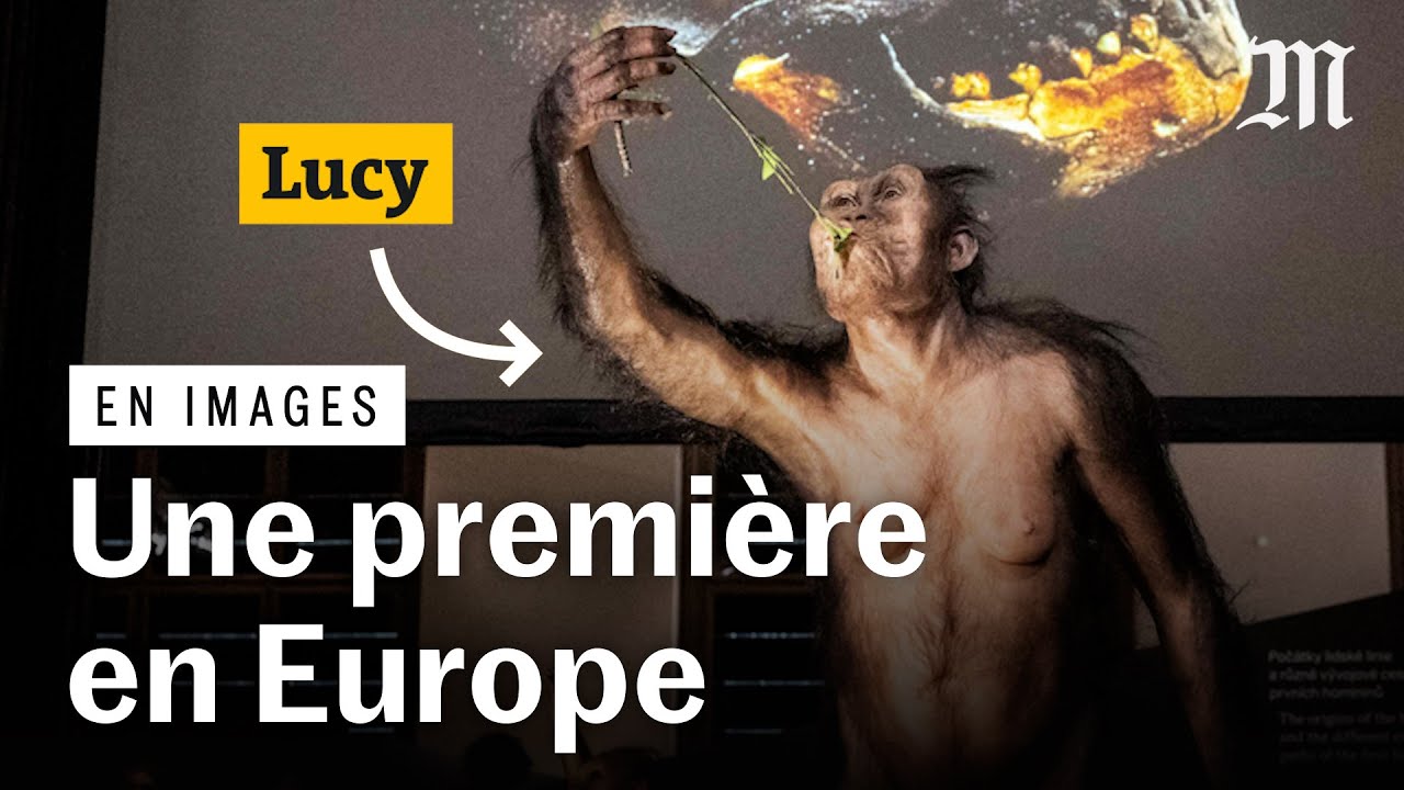L&rsquo;australopith&egrave;que Lucy expos&eacute;e en Europe pour la premi&egrave;re fois