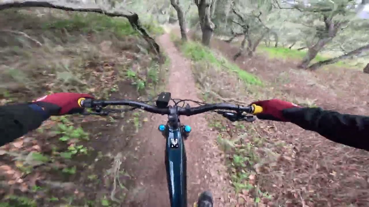 Afternoon Ride