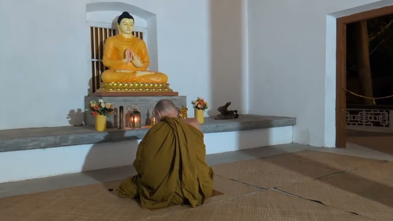 English Buddhist Monk is live