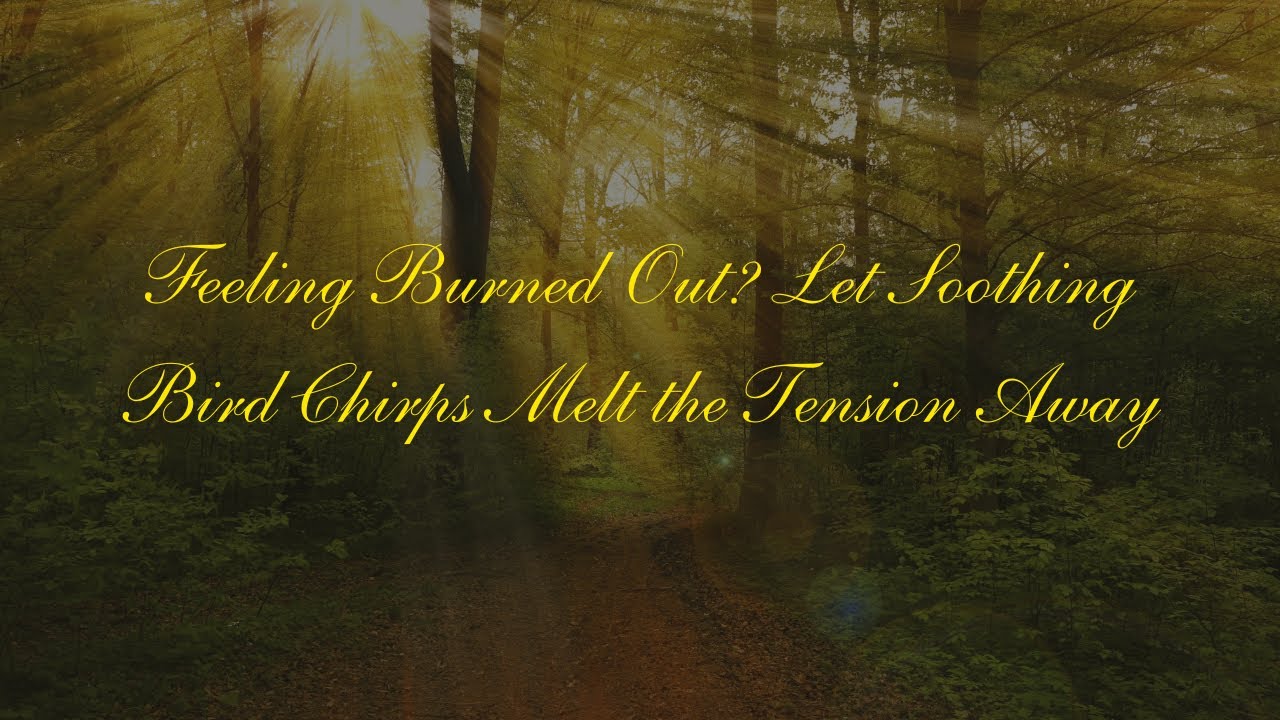 Feeling Burned Out? Let Soothing Bird Chirps Melt the Tension Away