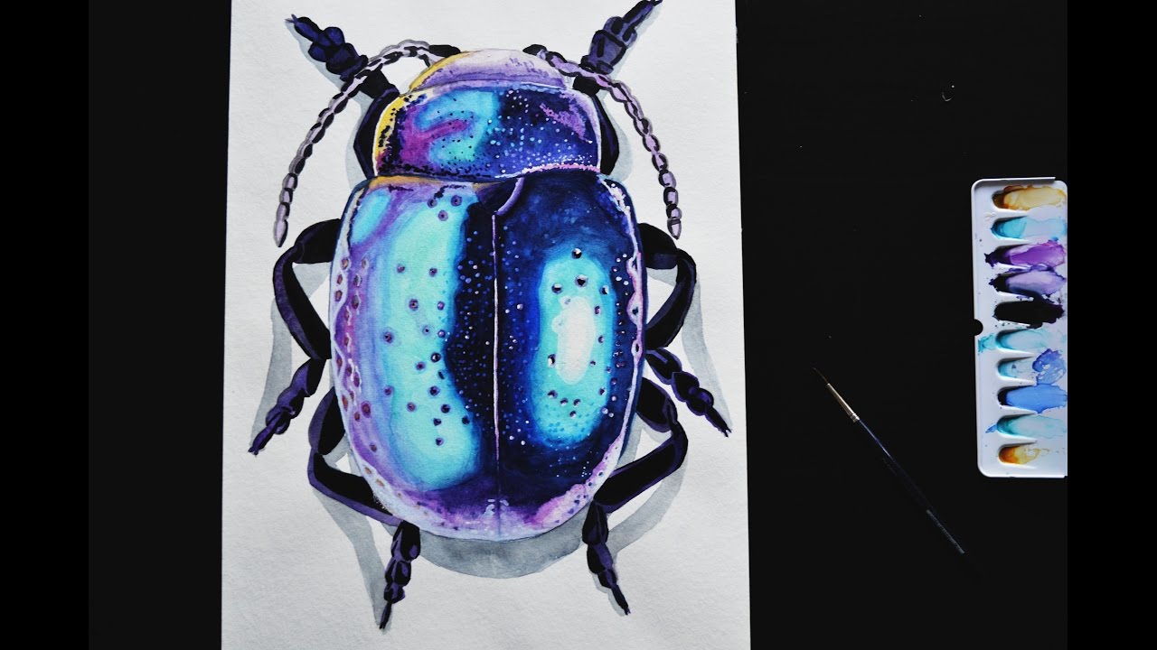 Watercolor Speed Painting ''Chrysolina perforata'' | Beetle Series