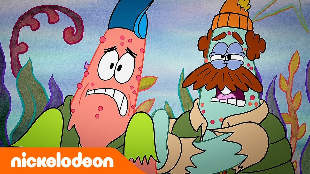 El show de Patricio estrella | ¡Un viaje de campamento salvaje! | Nickelodeon en Español