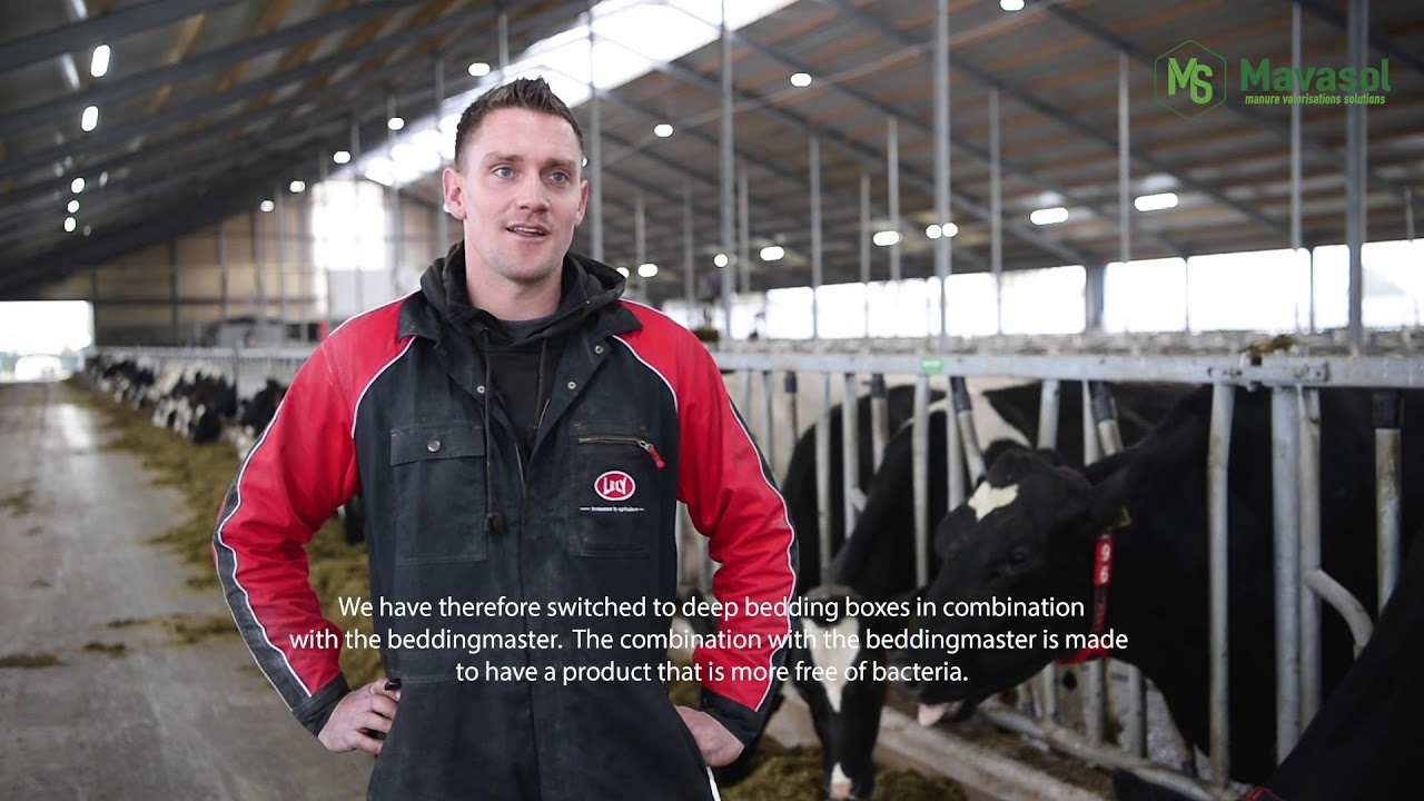 Sustainable Dairy Farming in The Netherlands | Mavasol