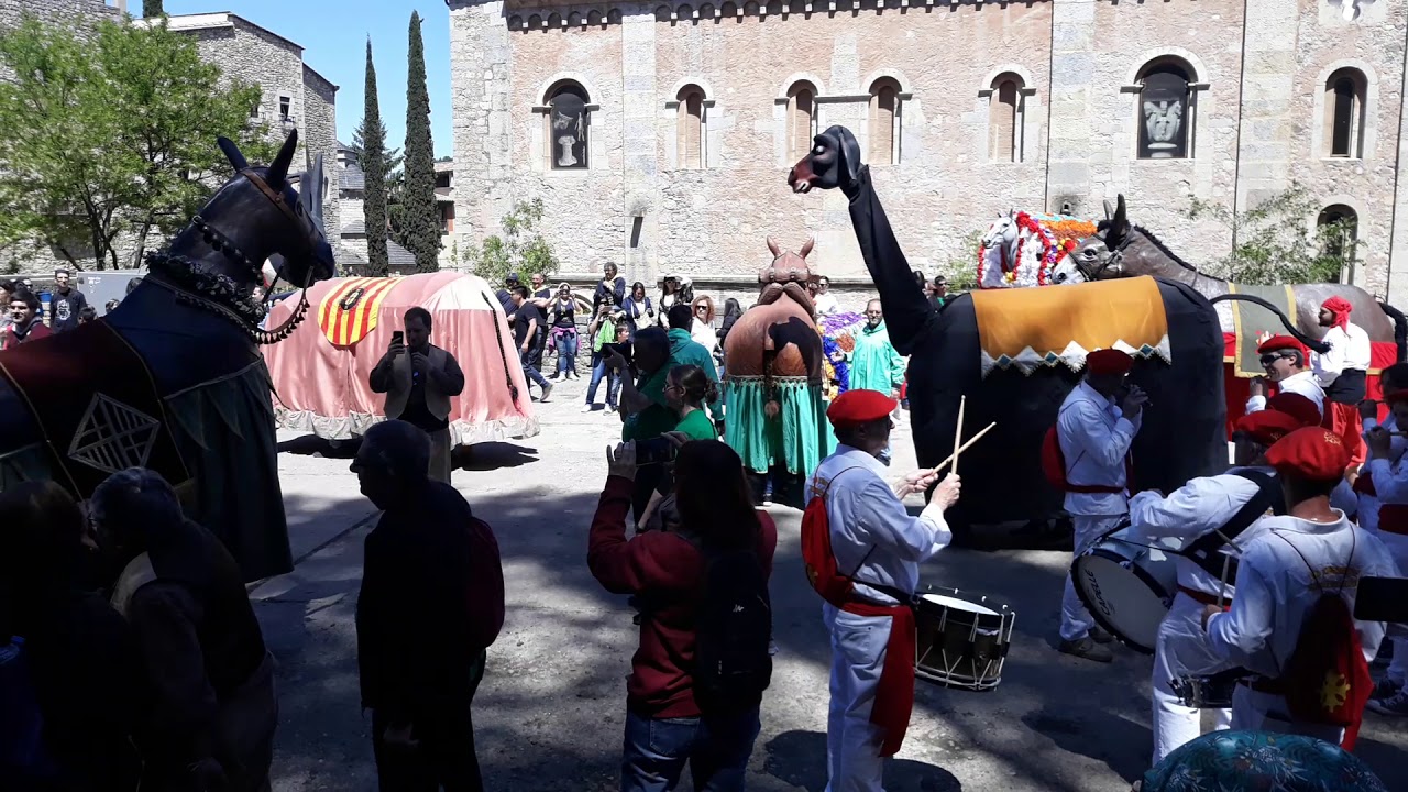 5 anys de la Mulassa Mula Baba de Girona I Ball final amb totes les Mulasses