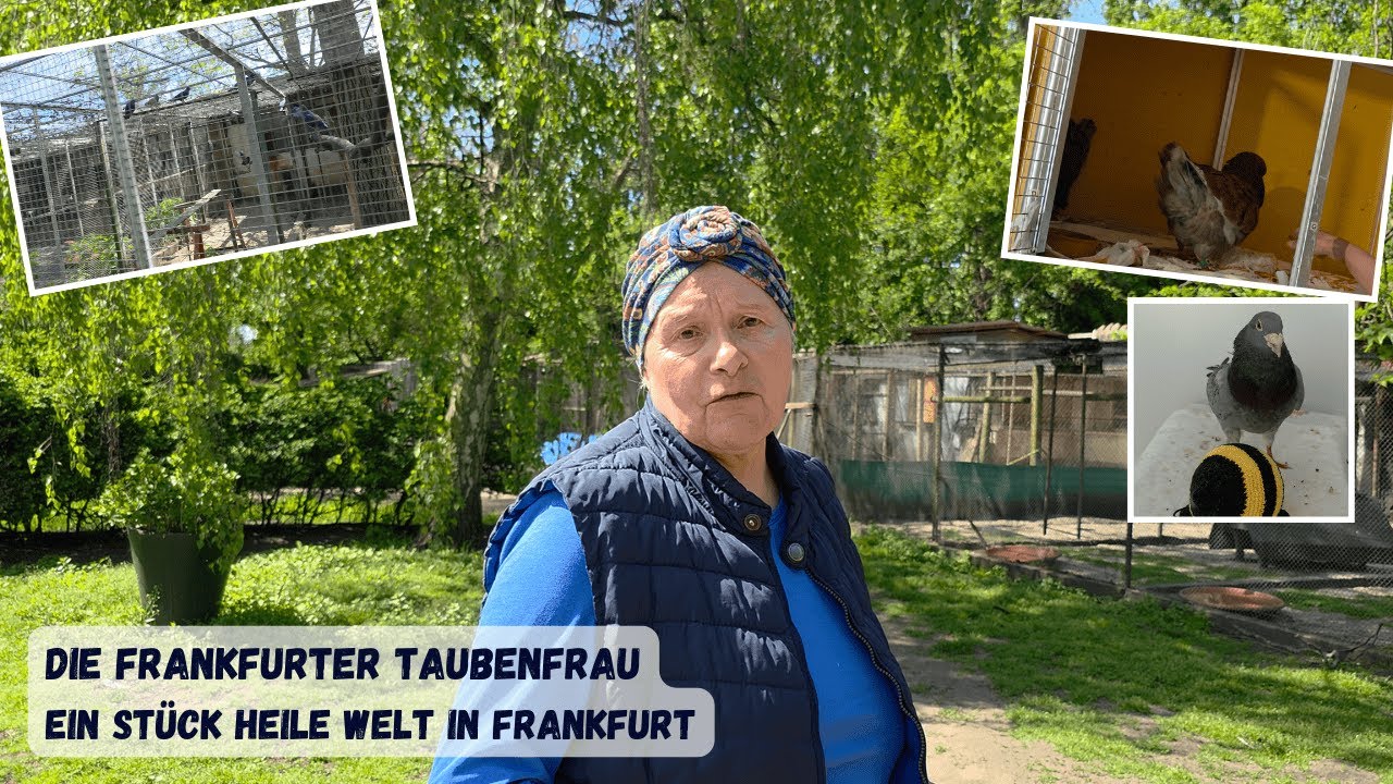 Ein Stück heile Welt in Frankfurt - Unser Lebenshof für Tauben