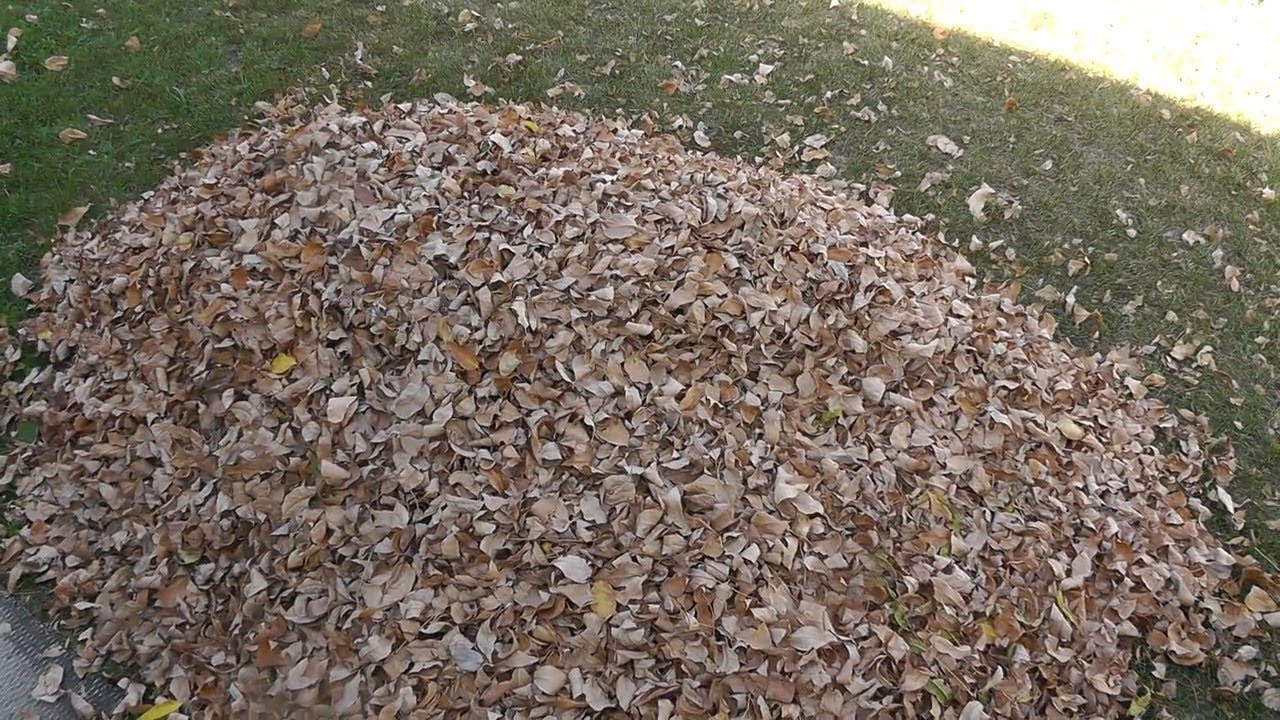 easy leaf shredding garden mulch diy at home compost