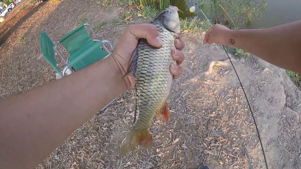 Fishing at Lindo Lake, Lakeside CA