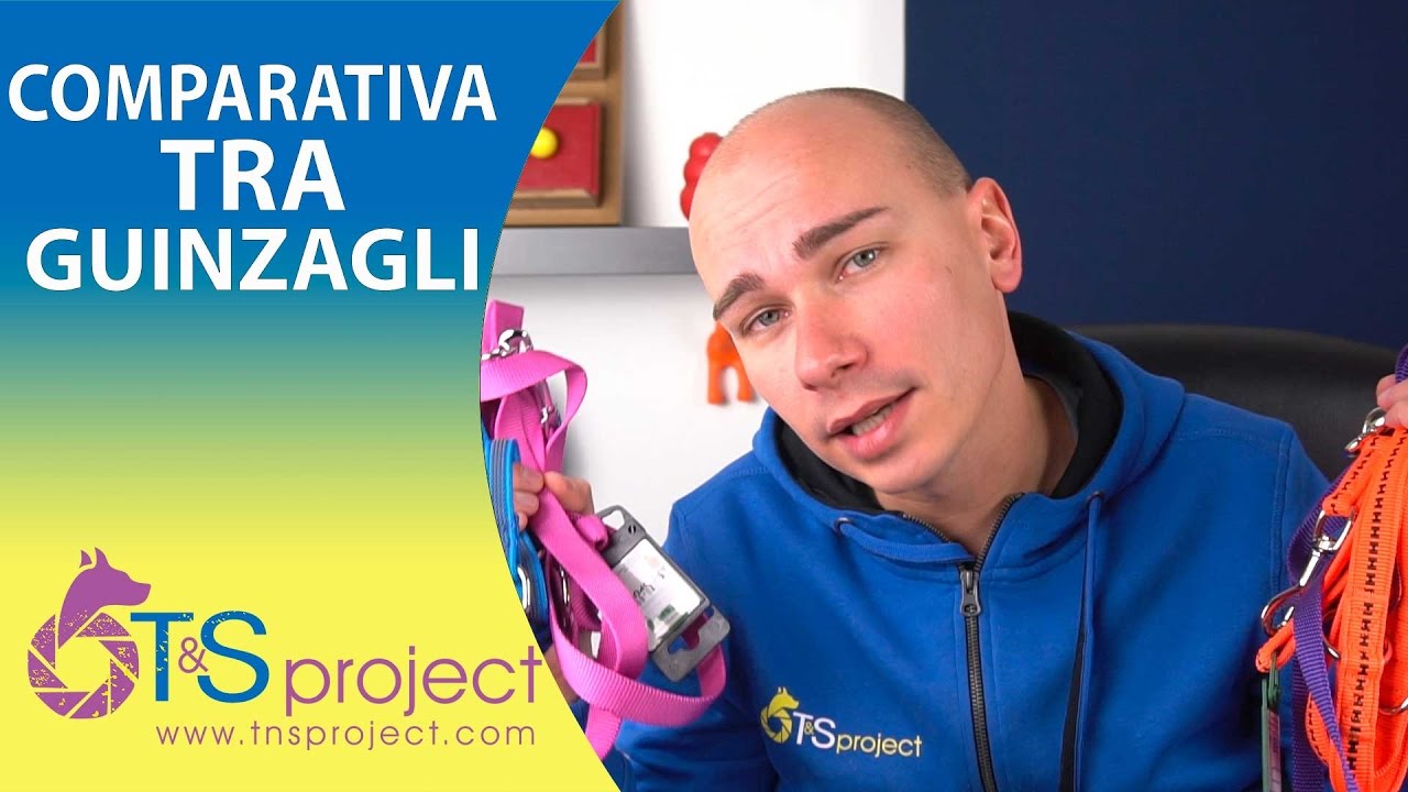 Comparativa tra Guinzagli