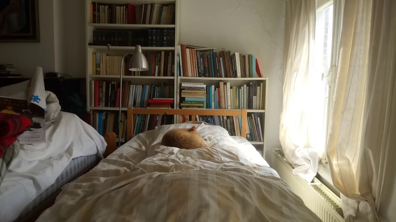 Elmo ligt op het logeerbed.