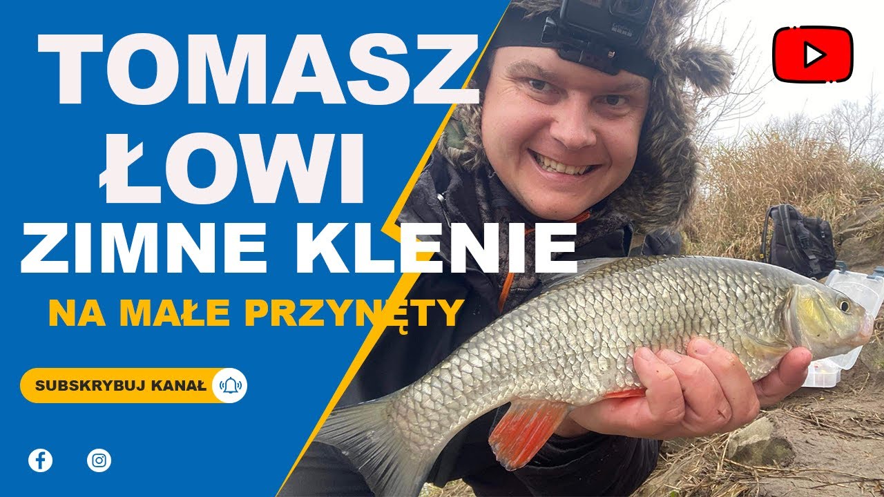 Zimne klenie z Wisły. Jak złowić klenia Zimą