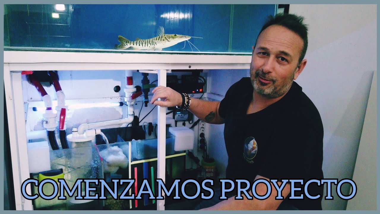 NUEVO ACUARIO AGUA DULCE | Proyecto Altum