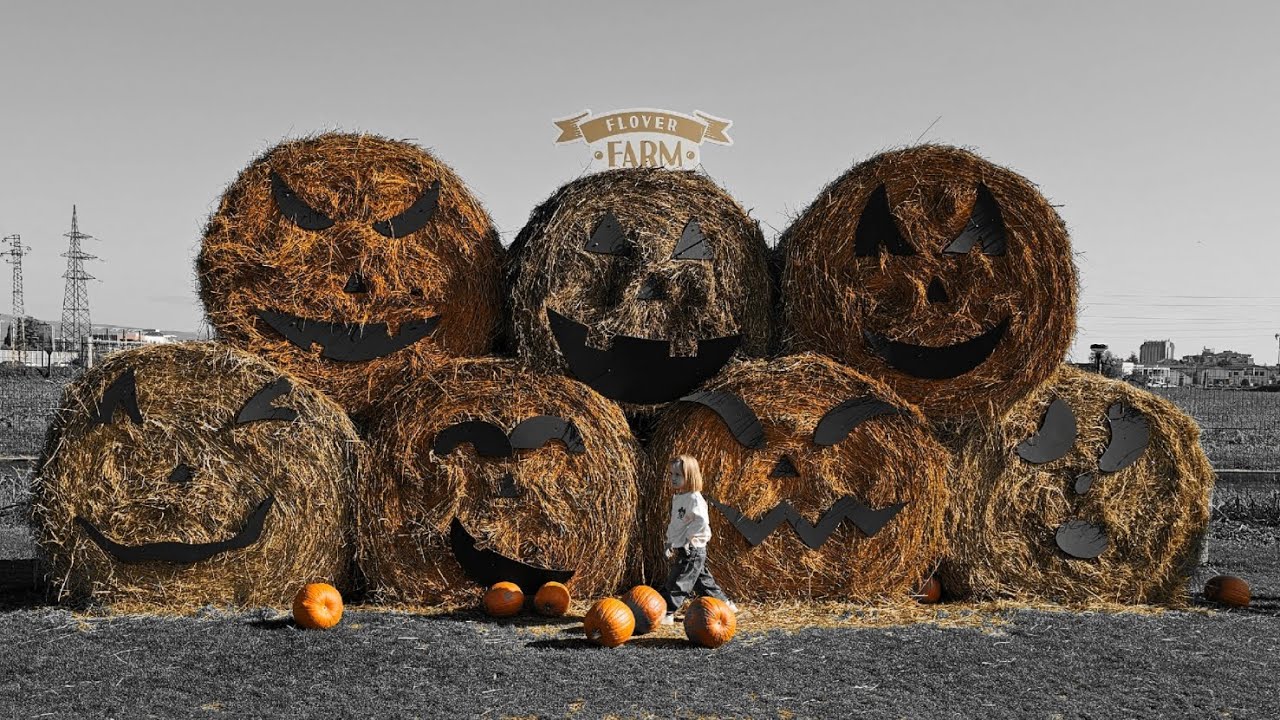 FLOWER FARM 🎃 Il Villaggio Delle Zucche