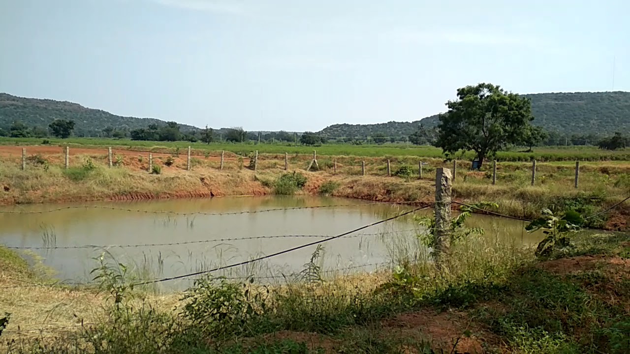 10,000 sqft Farm Pond with 28 Lakh Ltrs capacity
