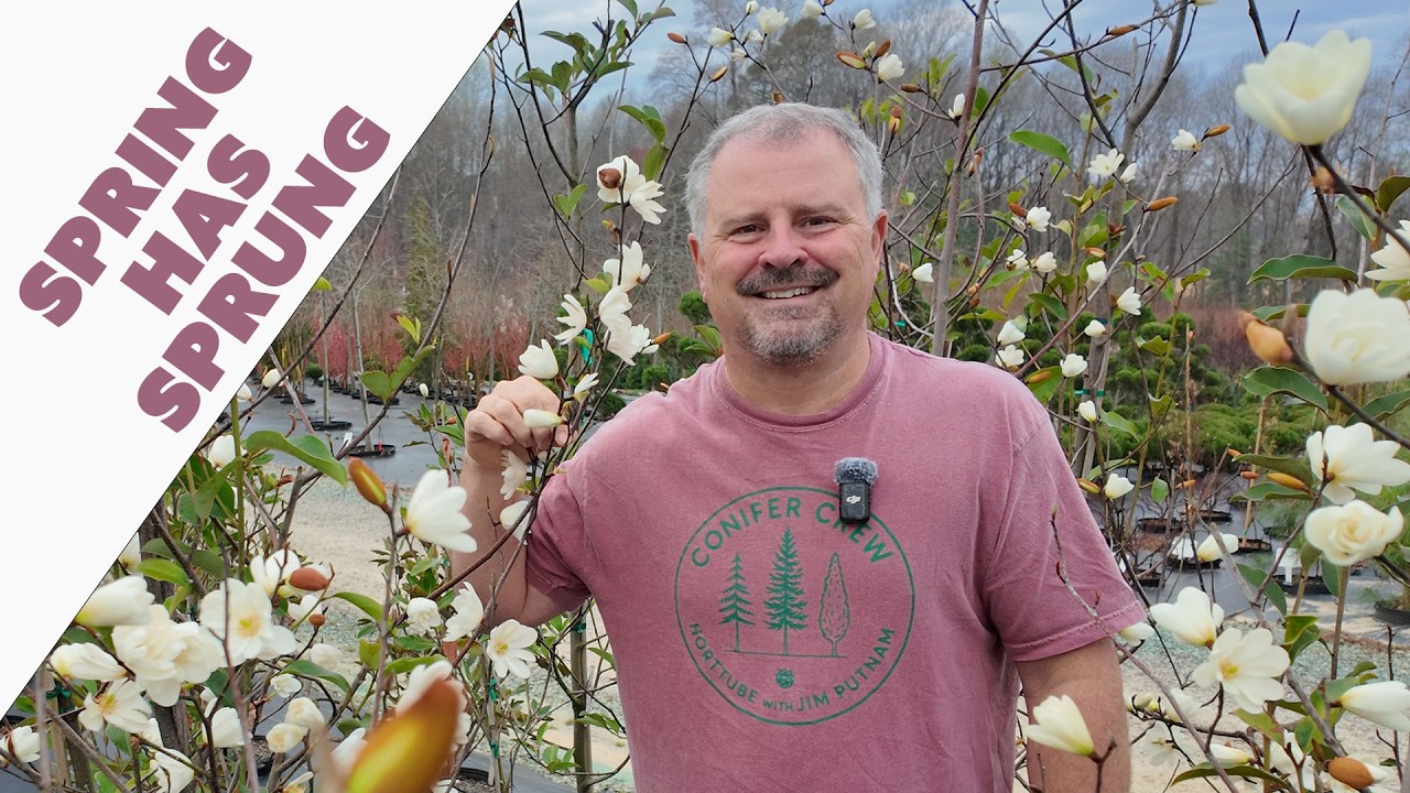 10 Early Flowering Trees That Wake Up the Garden
