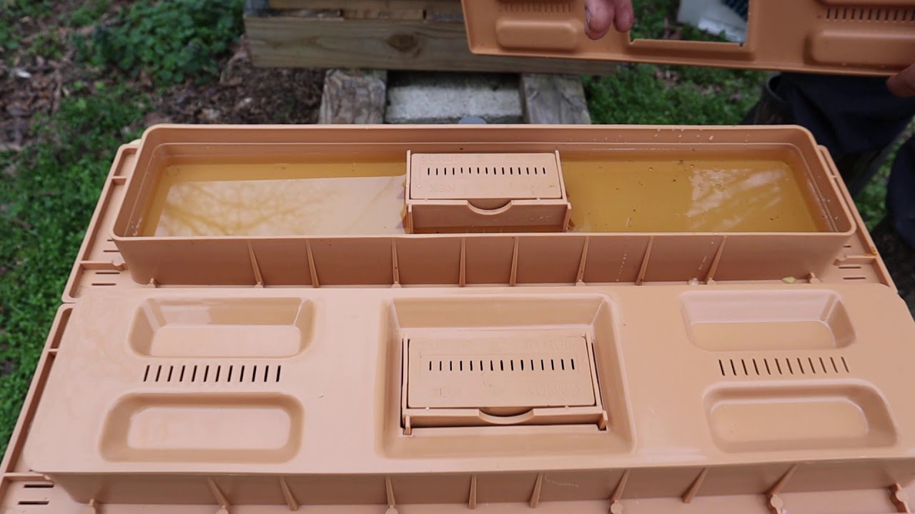 🔵Apimaye hive top feeder and how it works.