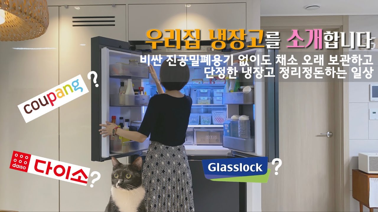 Sub) 비싼 진공밀폐용기 없이도 채소 오래 보관하고 단정한 냉장고 정리하는 방법ㅣ냥이와 함께하는 일상
