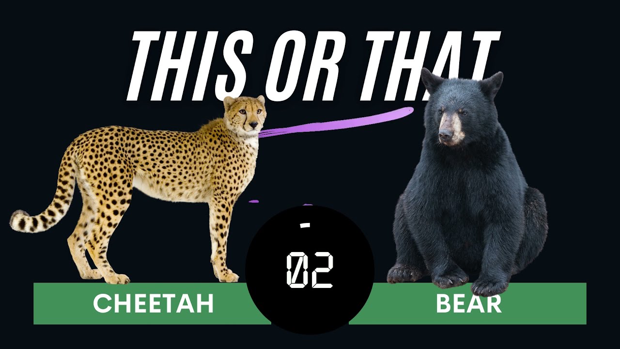 Animal This or That Workout | Choose Your Favorite Animal, Then Do the Exercise That Follows!