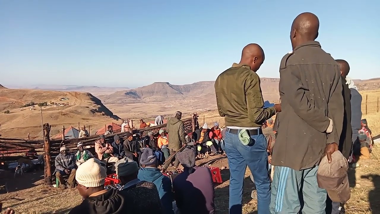 Apha kwabiwa izitya kuMgidi waseMzangweni eMpoza kuTsolo.