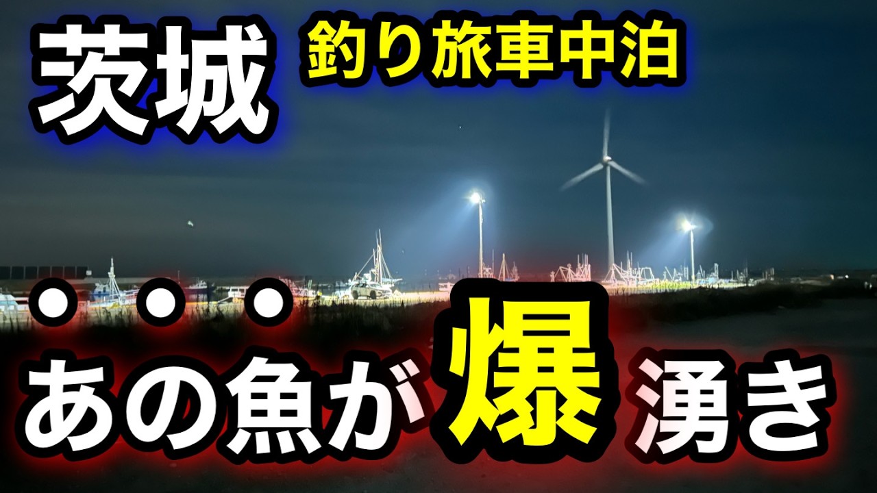 【茨城釣り】激アツ！あの魚が爆釣！ひと工夫で誰でも簡単に釣れます！車中泊釣り旅