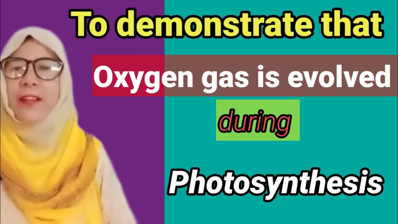 To Demonstrate That Oxygen That Oxygen Gas is Evolved During Photosynthesis|@EducationwithAsma
