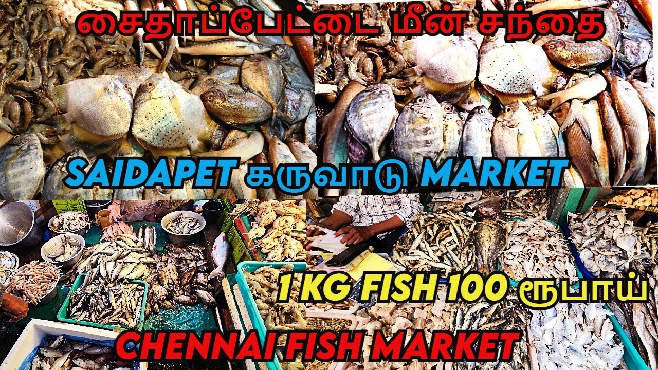சென்னை மீன் மற்றும் கருவாடு Market | Saidapet Fish Market | மீன் சந்தை | Shopping Boyz | Pakoda Boyz