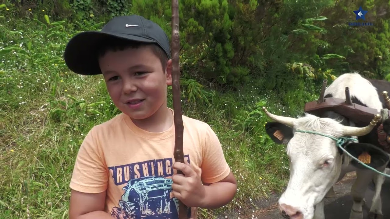Cortejo dos #Lourais: uma marca viva da identidade jorgense