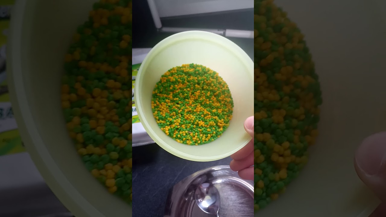 Préparation de la pâtée pour canaris avec perles de morbide