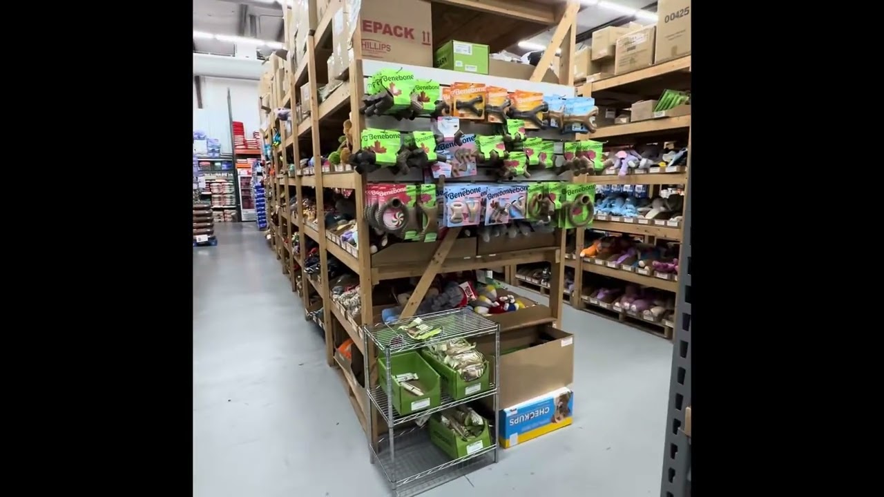 Dog warehouse 