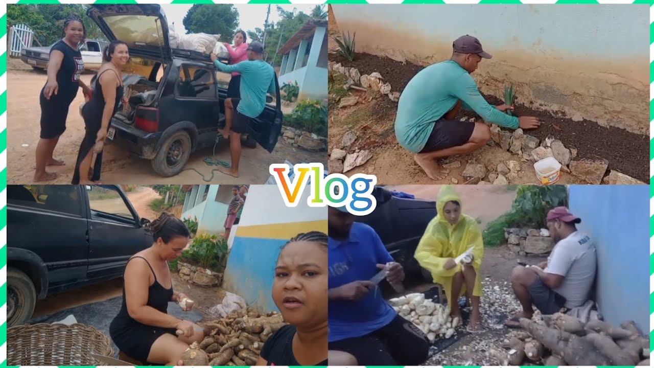 DIA DE RASPAR MANDIOCA E LUAN FEZ UM PEQUENO JARDIM.