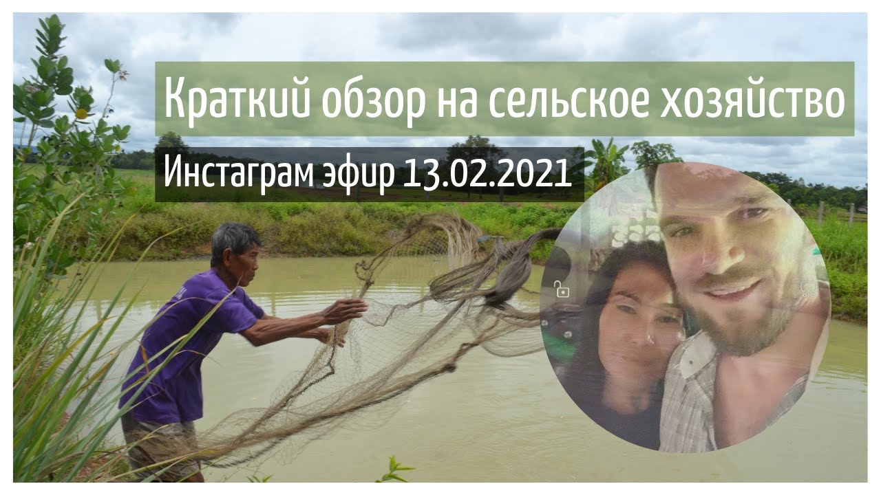 Жизнь в деревне. Обзор на сельское хозяйство. Ответы на вопросы в прямом эфире инстаграм 13.02.2021