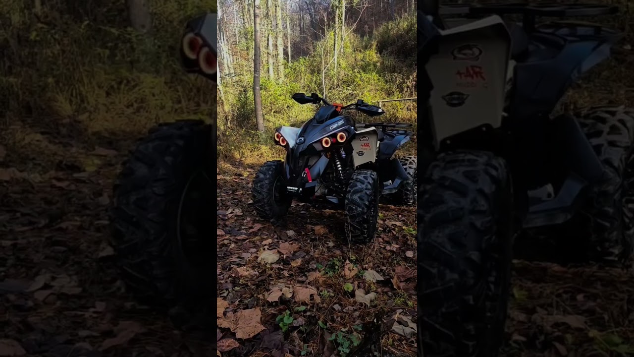 #canam #canamrenegade #canam1000r #bigbore #offroading #ytshorts #nickelback