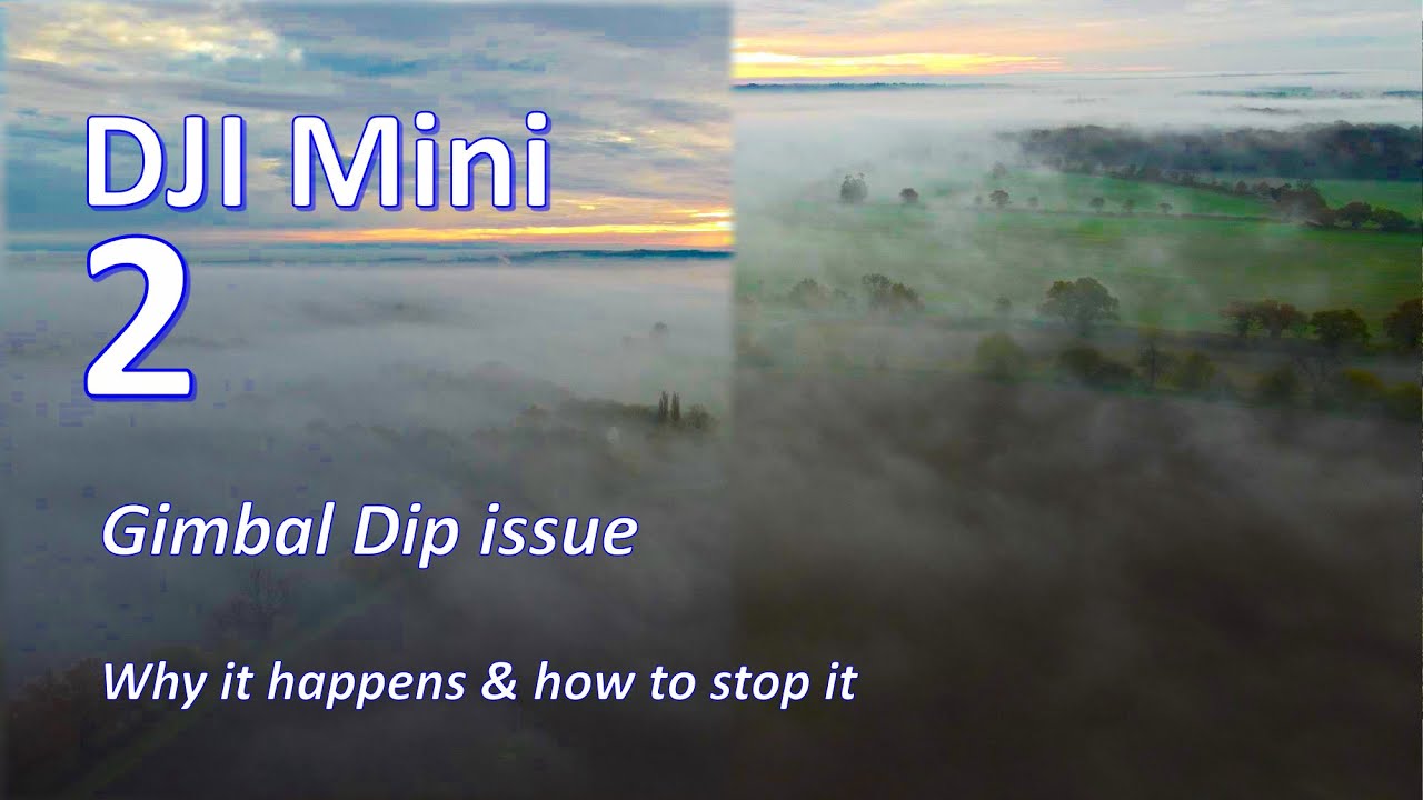 DJI Mini 2 Camera Gimbal Dip Issue - Why it Happens & How to Stop it