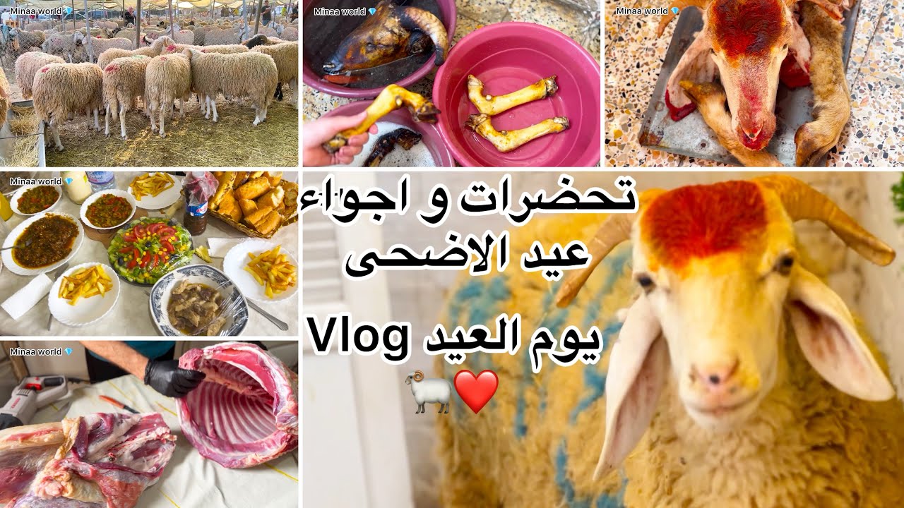 VLOG aid adha 2025 اجواء عيد الاضحي #عيد_الأضحى_2025
